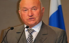 Юрий Лужков. Фото A.Savin с сайта wikipedia.org