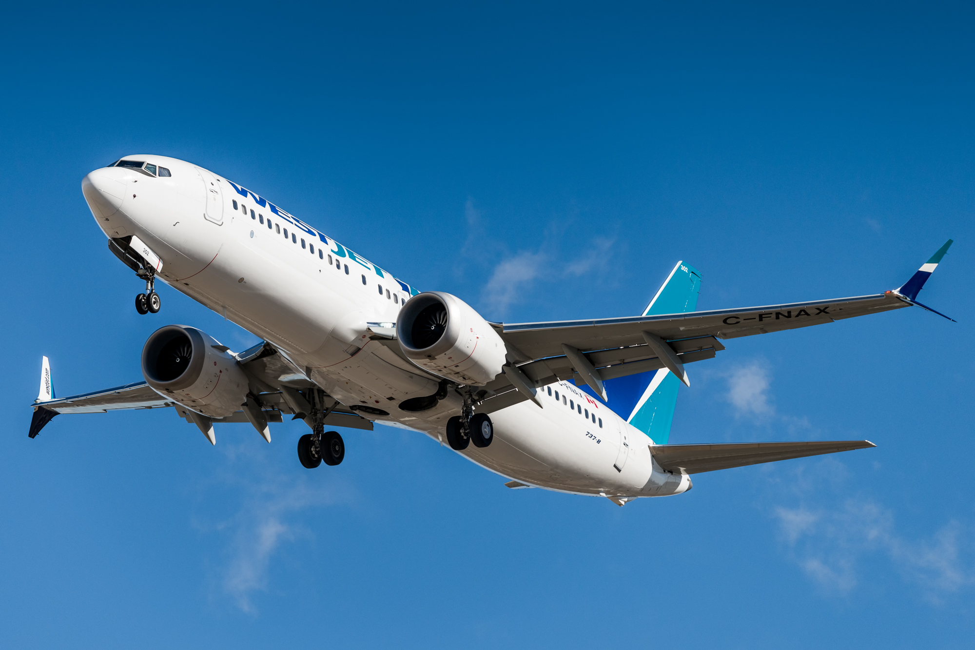Фото с сайта wikipedia.org Boeing 737 Max 8