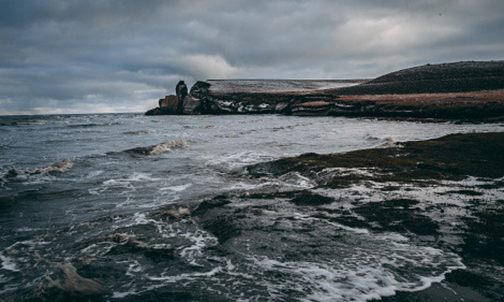 Фото с сайта wikimedia.org