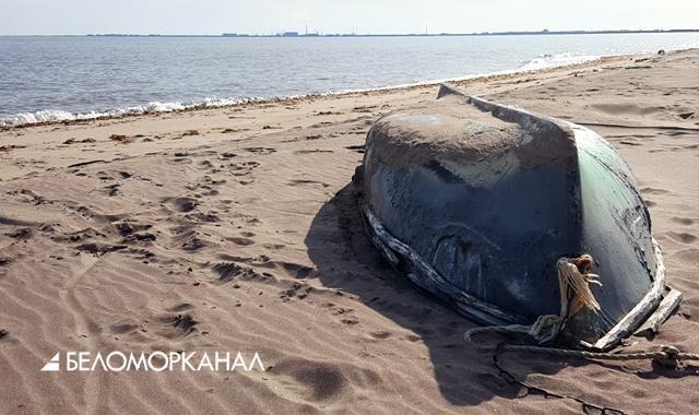 Фото с сайта tv29.ru