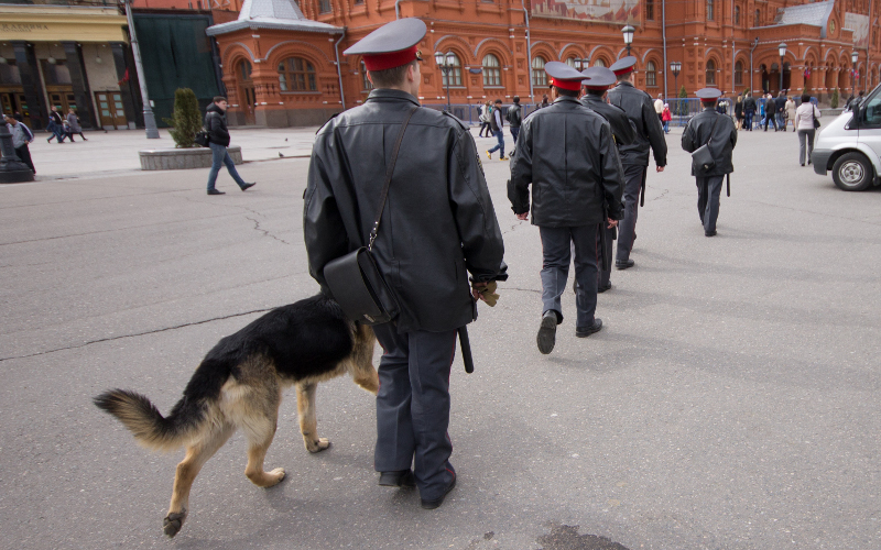 © KM.RU, Филипп Киреев © KM.RU, Филипп Киреев