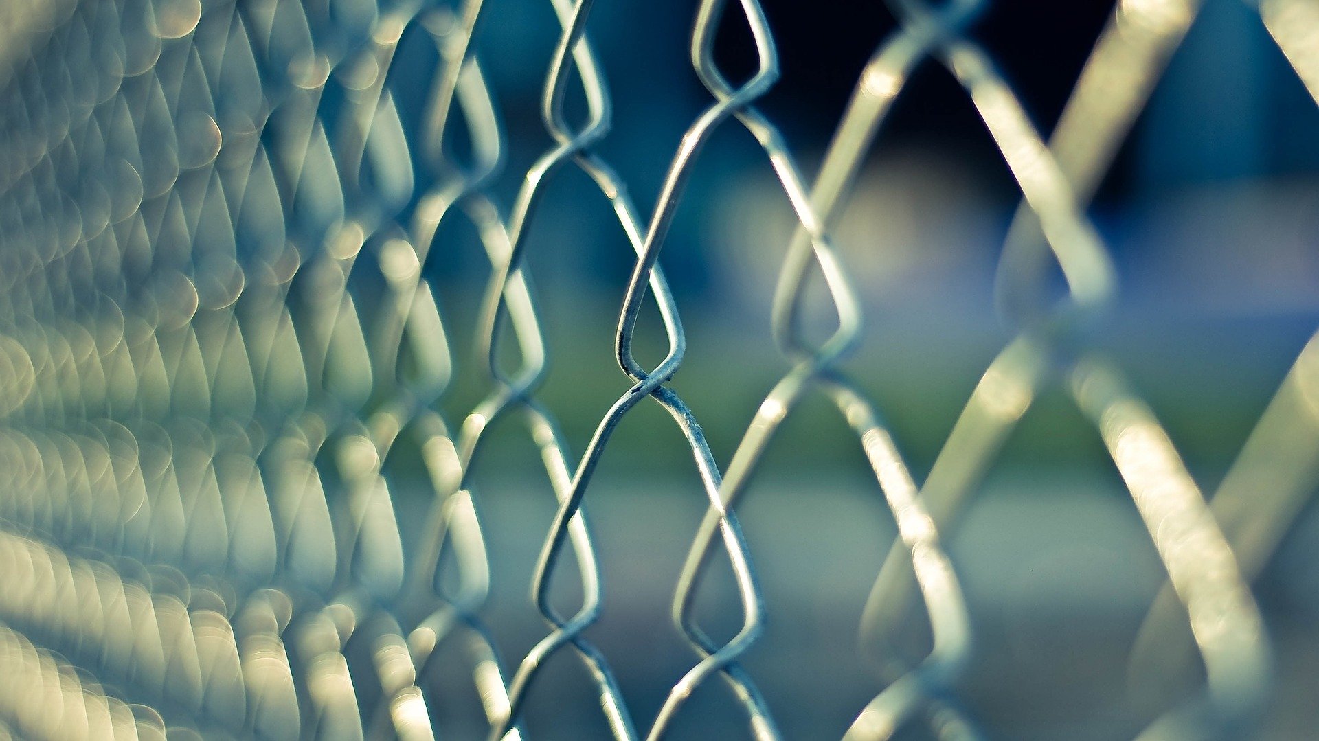 Фото с сайта Pixabay.com