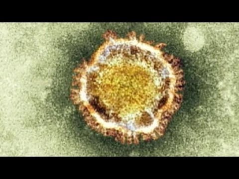 Скриншот с видео Коронавирус