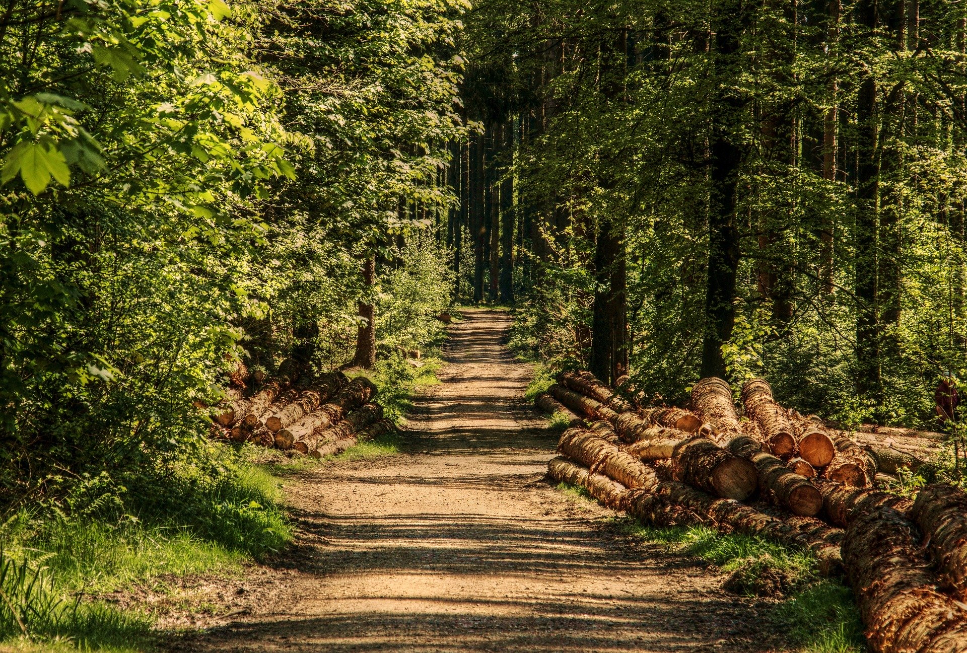 Фото с сайта Pixabay.com