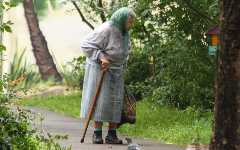 Пенсионерка 