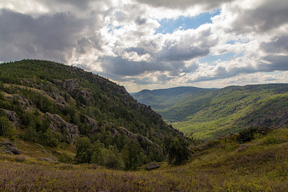 Фото с сайта wikimedia.org Фото с сайта wikimedia.org