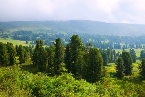 Фото с сайта pixabay.com Фото с сайта pixabay.com