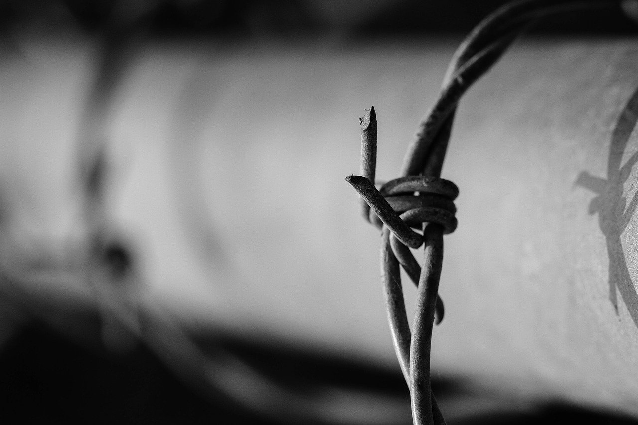 Фото с сайта Pixabay.com
