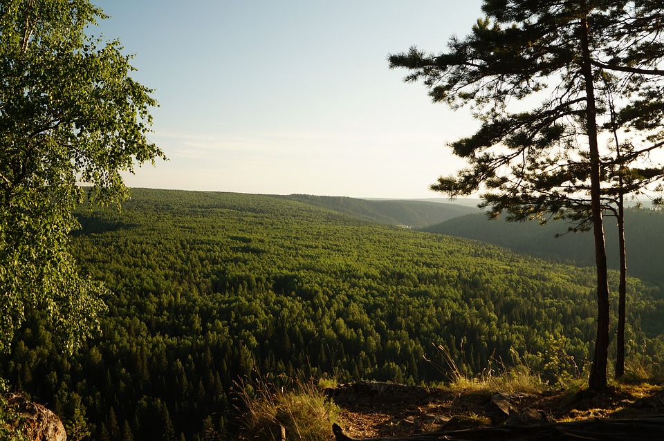 Фото с сайта Pixabay.com
