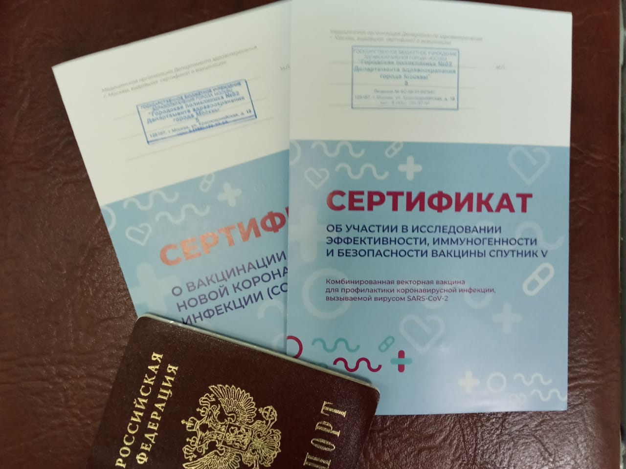 Сертификат о прививке © KM.RU, Наталья Ступникова Сертификат о прививке © KM.RU, Наталья Ступникова