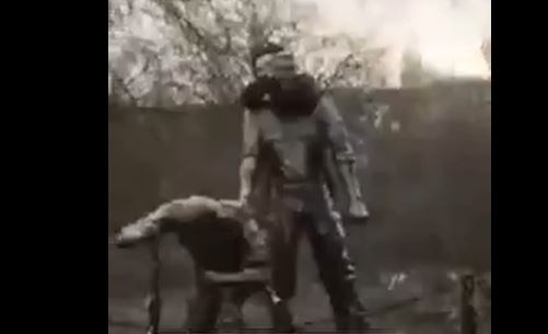 Стоп-кадр из видео