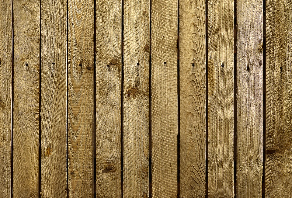Фото с сайта pixabay.com