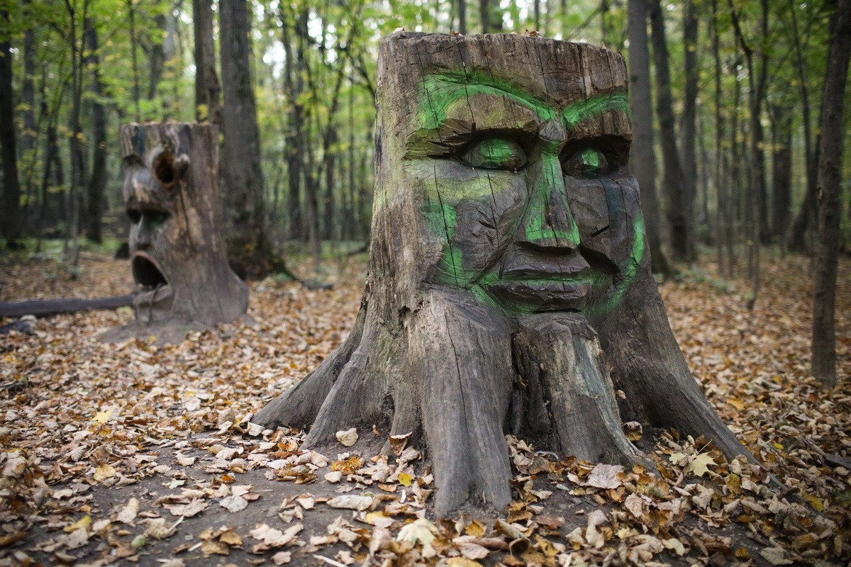 © KM.RU, Кирилл Дуболев © KM.RU, Кирилл Дуболев
