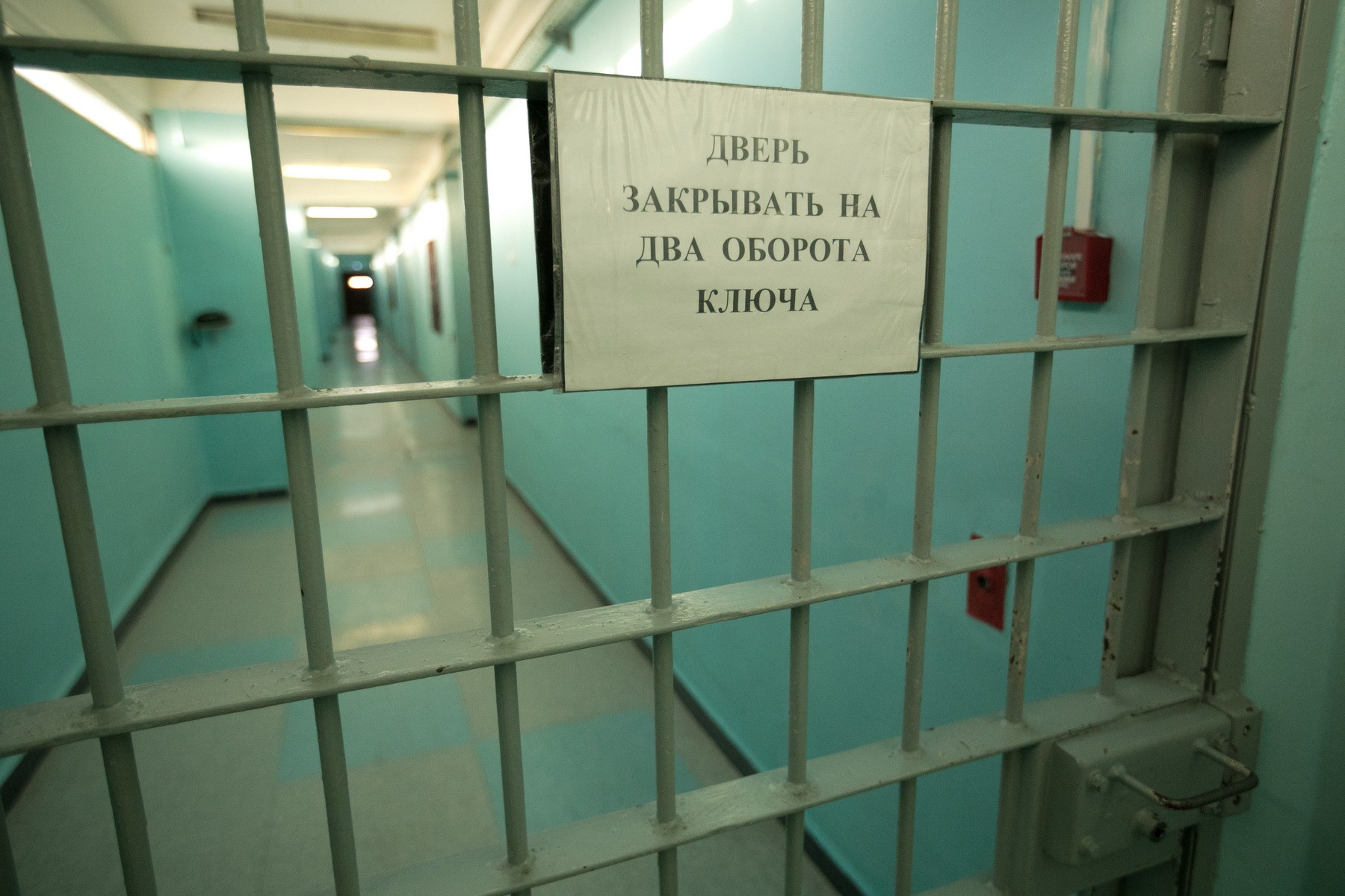 Фото © KM.RU, Алексей Белкин