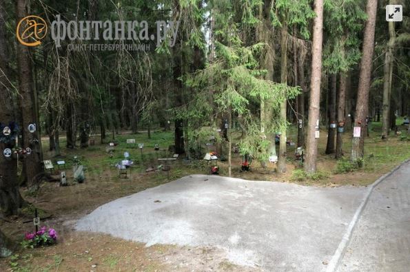 Фото: читатель «Фонтанки»