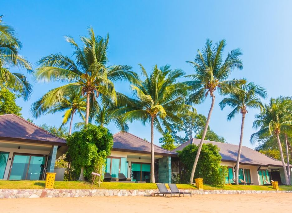 Фото: <a href="https://www.freepik.com/free-photo/background-rarotonga-beautiful-day-summer_1043777.htm#page=2&query=%D1%88%D1%80%D0%B8%20%D0%BB%D0%B0%D0%BD%D0%BA%D0%B0%20%D0%BE%D1%82%D0%B5%D0%BB%D1%8C&position=40&from_view=search&track=ais&uuid=81b8b930-4775-4b6b-a654-3a9c5294beec">mrsiraphol</a> / Freepik