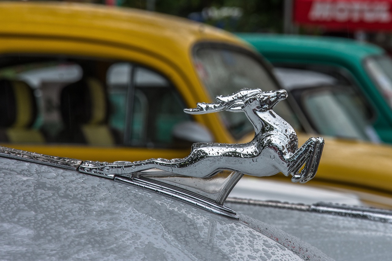 Фото с сайта Pixabay.com