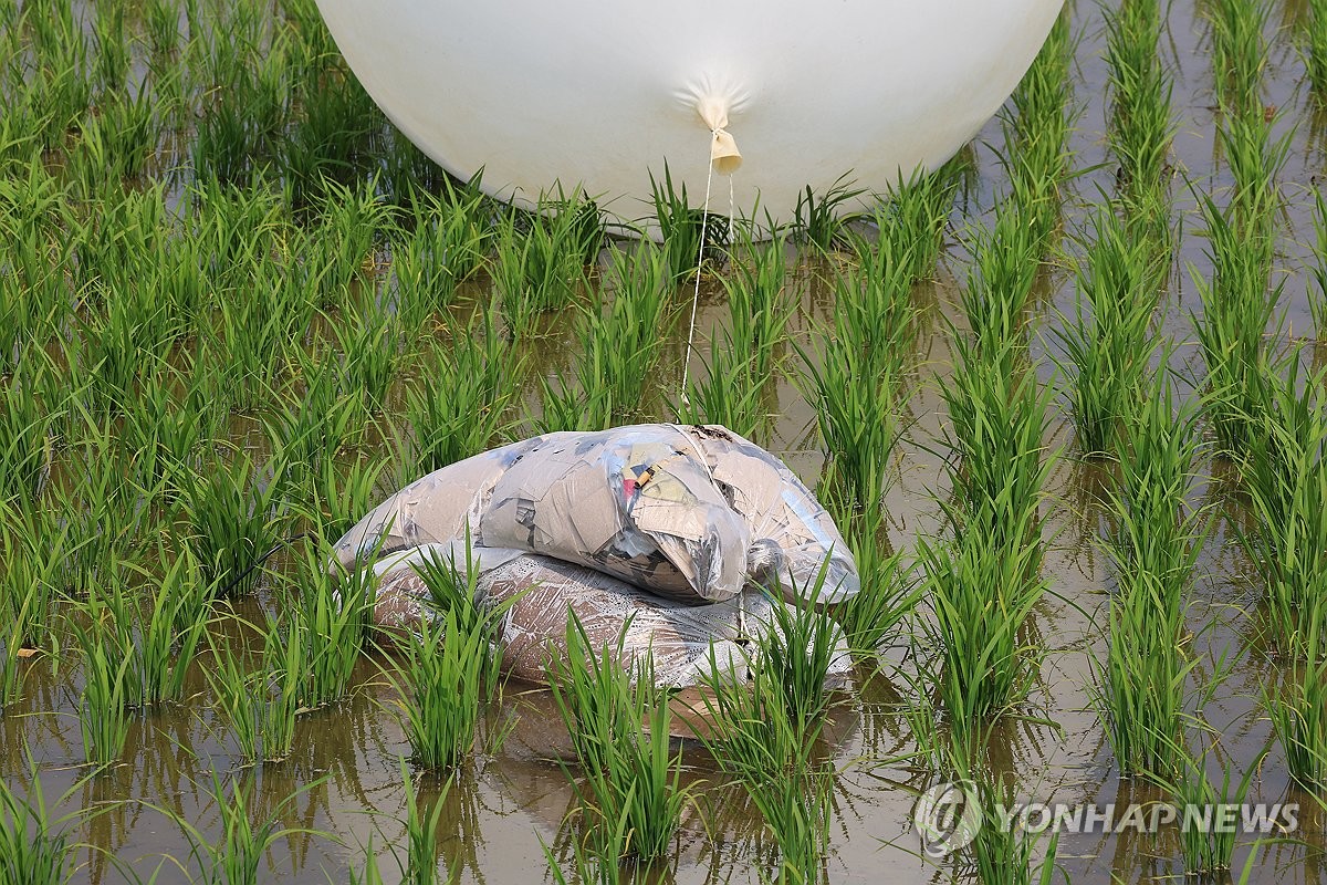 Фото: «Рёнхап» / yna.co.kr