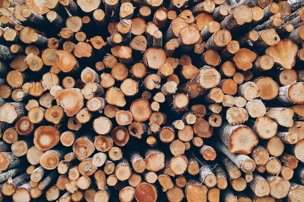 Фото с сайта Pixabay.com