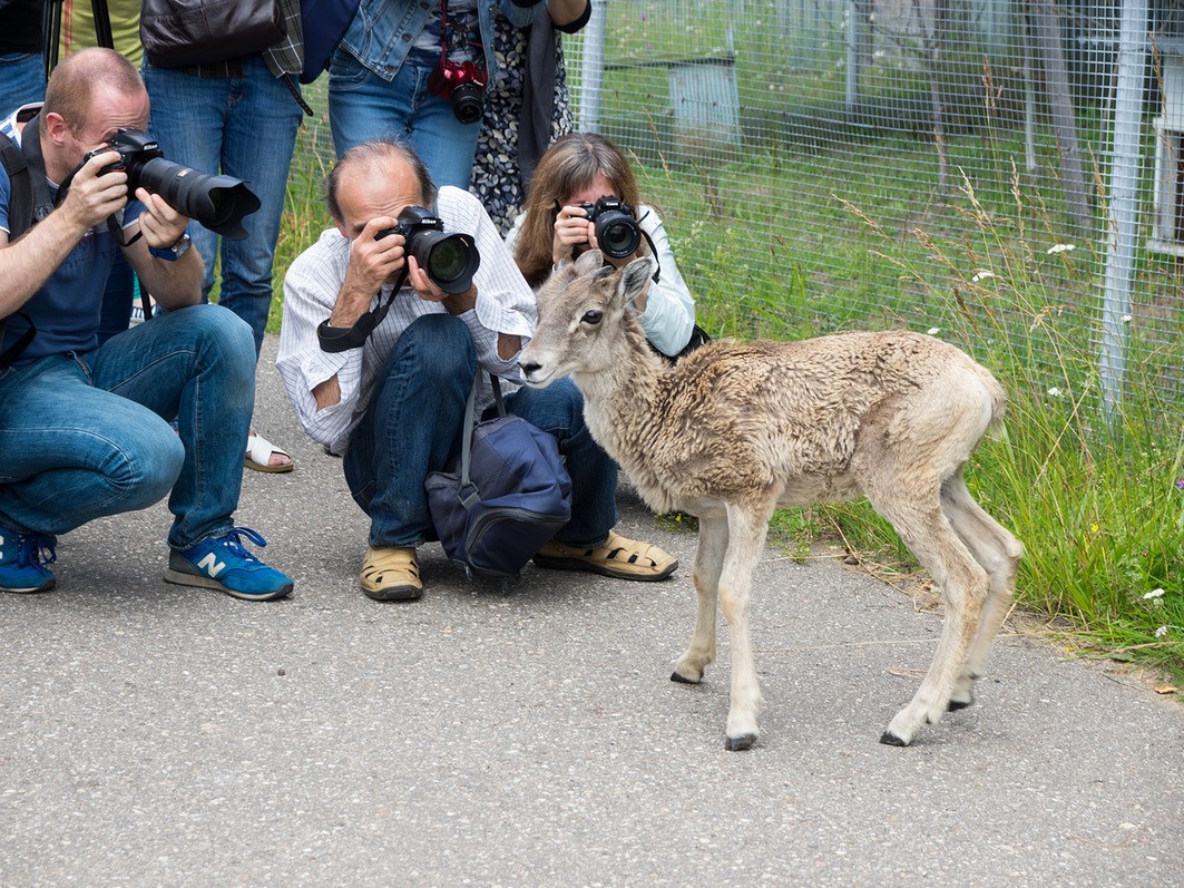 © KM.RU, Наталья Ступникова