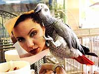 Үлкен жыныс еріндері онлайн порно