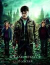 Гарри Поттер и Дары смерти: Часть 2